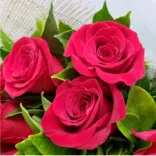 Rosas