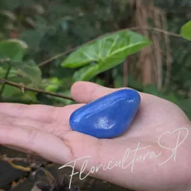 Quartzo Azul