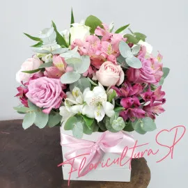 Flower Box Rose