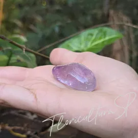 Cristal Ametista