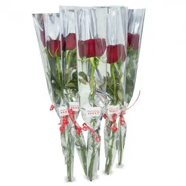 10 Rosas para Presente