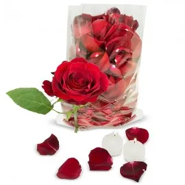 Kit Pétalas e Velas