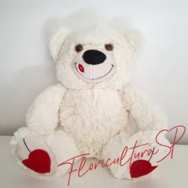 Urso Ted