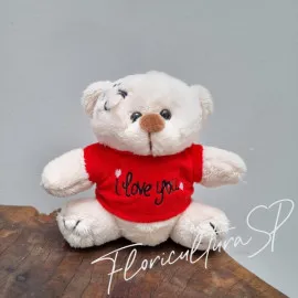 Urso Dodói