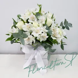 Flower Box White