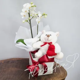 Mini Orquídea e Urso Love