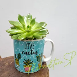 Caneca Love Cactus