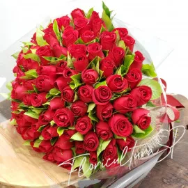 Buquê Paulista com 100 Rosas