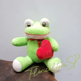 Sapo Love