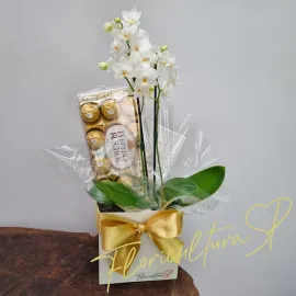 Mini Orquídea e Ferrero Rocher