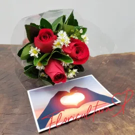 Kit Rosas e Foto