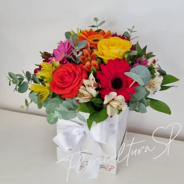 Flower Box Colorful